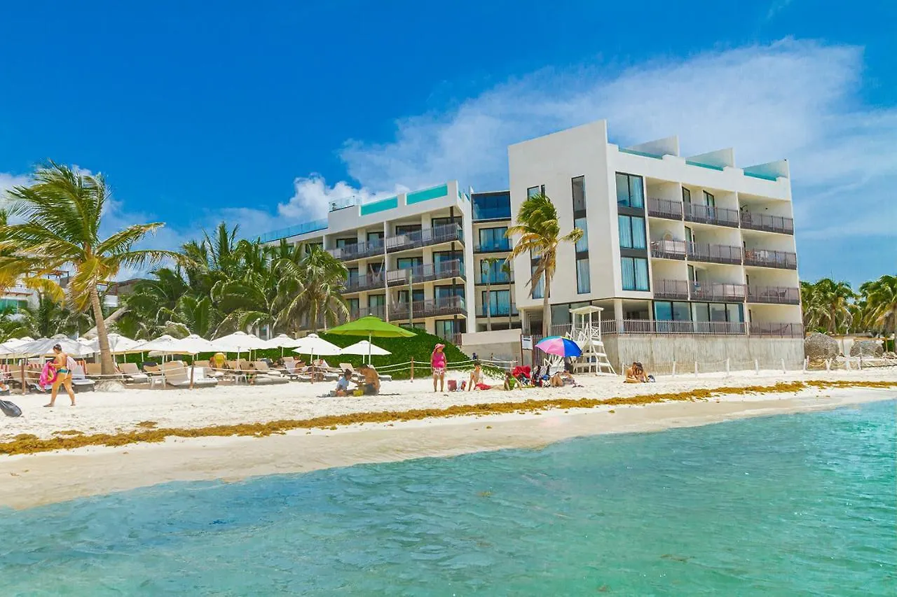 It Beach 302 Y 003 Primera Linea De Playa Beach Playa del Carmen