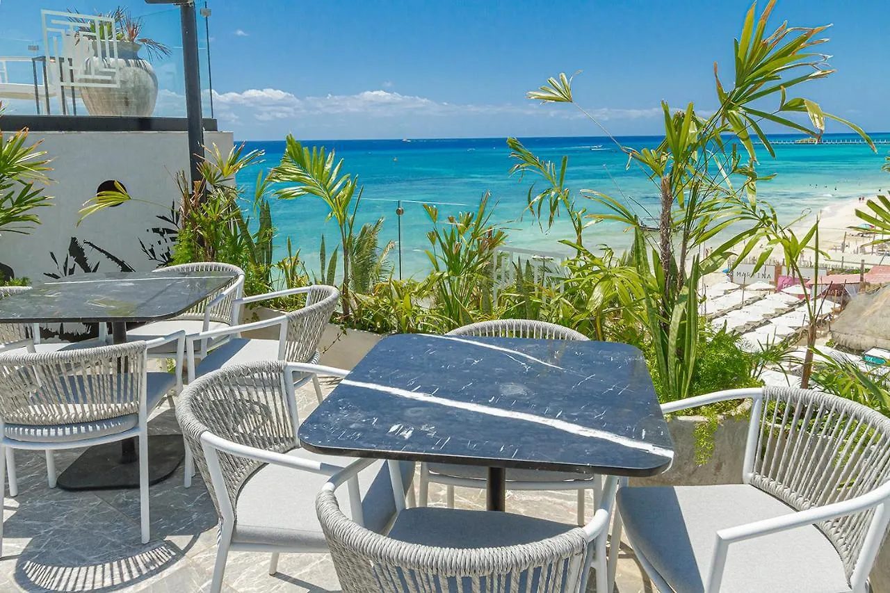 公寓 It Beach 302 Y 003 Primera Linea De Playa Beach 普拉亚卡门